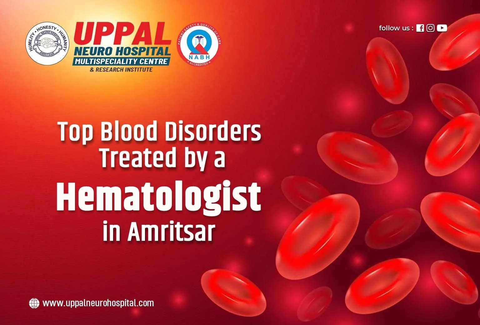 Top Blood Disorders Treated by a Hematologist in Amritsar
